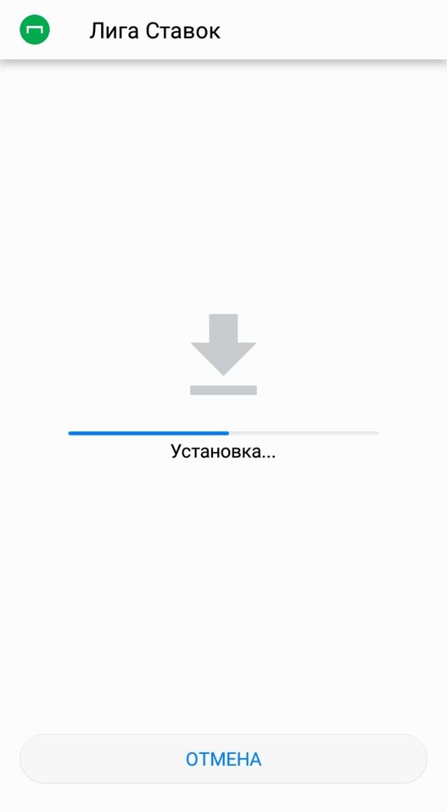 Процесс установки приложения Лиги Ставок