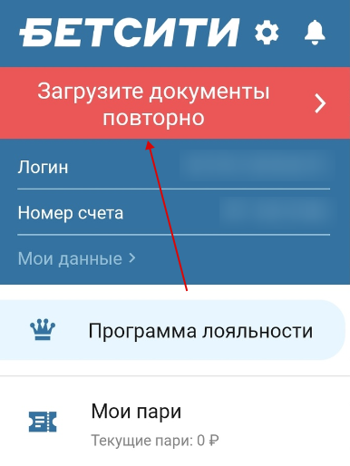Кнопка для повторной загрузки паспорта в приложении бетсити