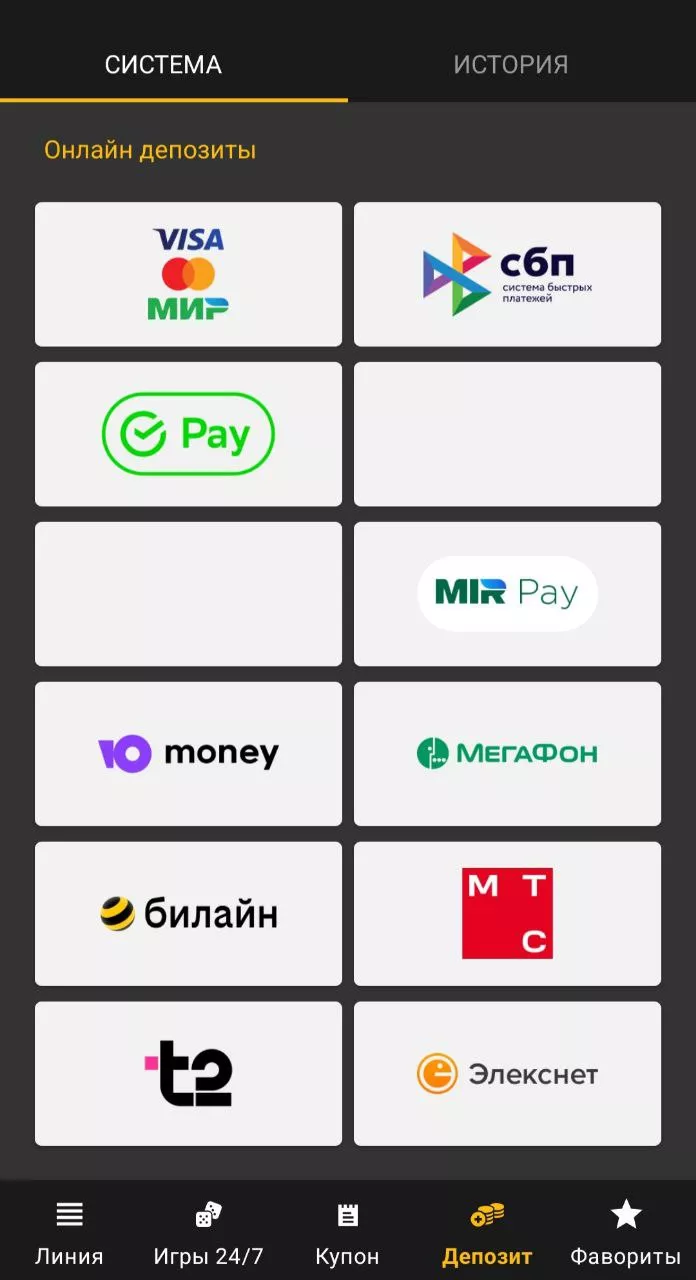 Возможные методы депозита в Мелбет