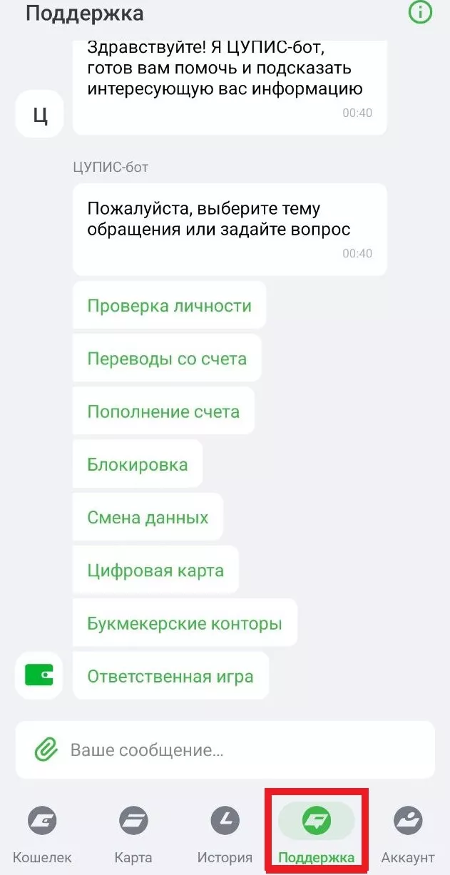 Поддержка в ЦУПИС