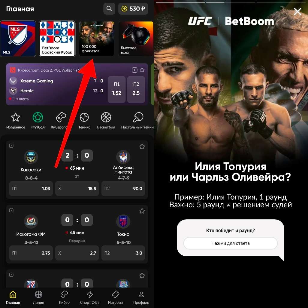 Фрибет на UFC 317 в БК Бетбум