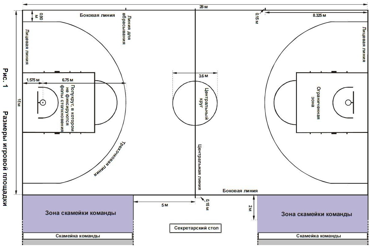 Разметка баскетбольной площадки