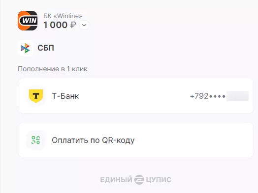пополнение через сбп винлайн
