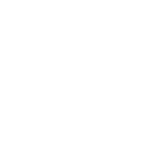 ALLINNERS