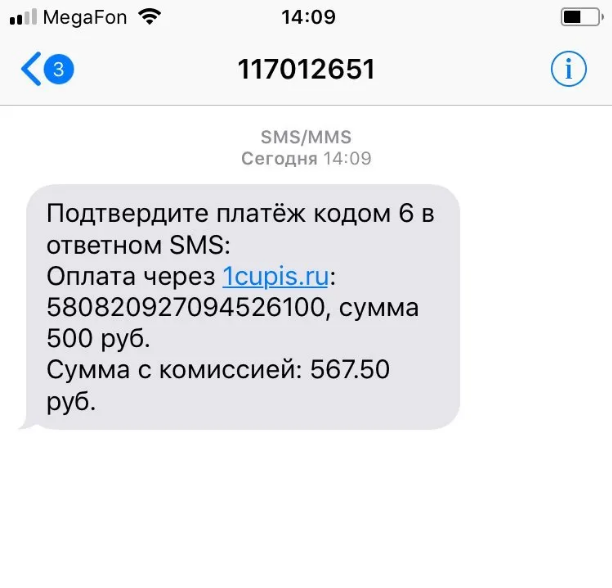 Оплата Винлайн по смс