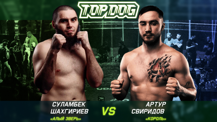 Свиридов - Шахгириев смотреть онлайн Top Dog FC 15