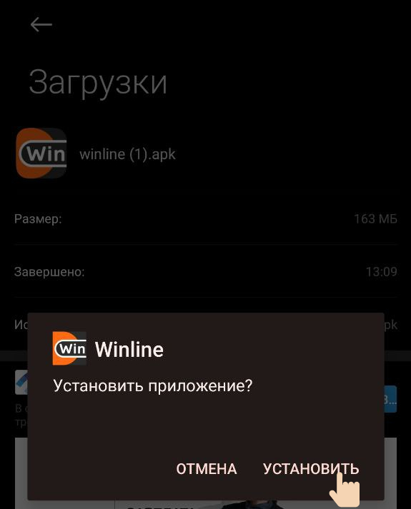 Подтверждение установки приложения Винлайн