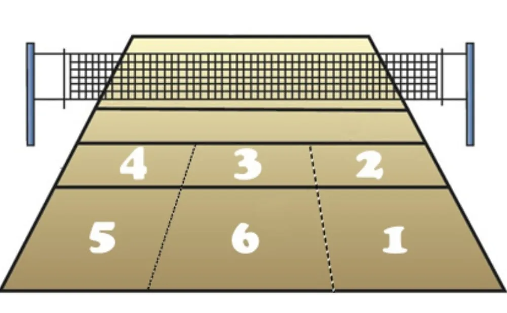 Зоны на волейболе на площадке