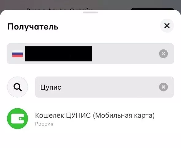 Как пополнить ЦУПИС