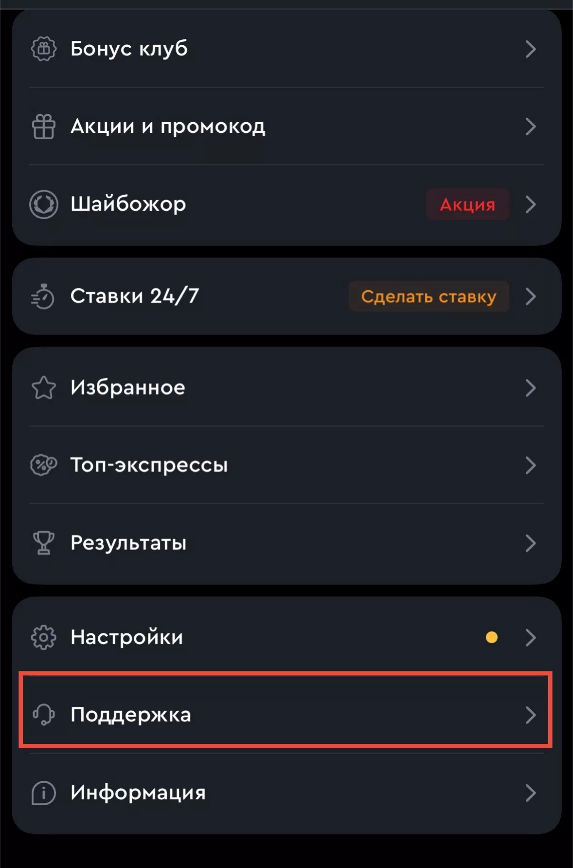 Поддержка в БК Олимп