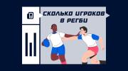 Сколько игроков в регби