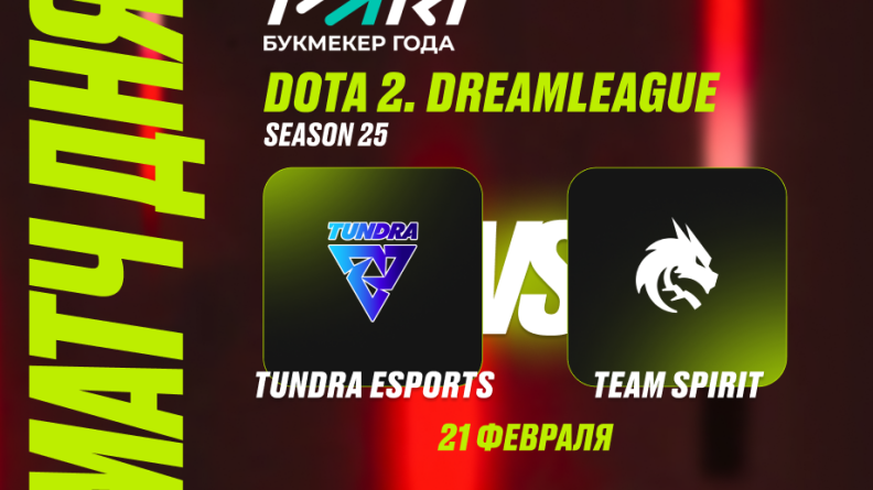 PARI: Tundra с dyrachyo победит Team Spirit на DreamLeague Season 25 по Dota 2 