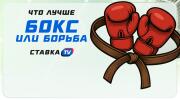 Бокс или борьба: что из этого лучше?