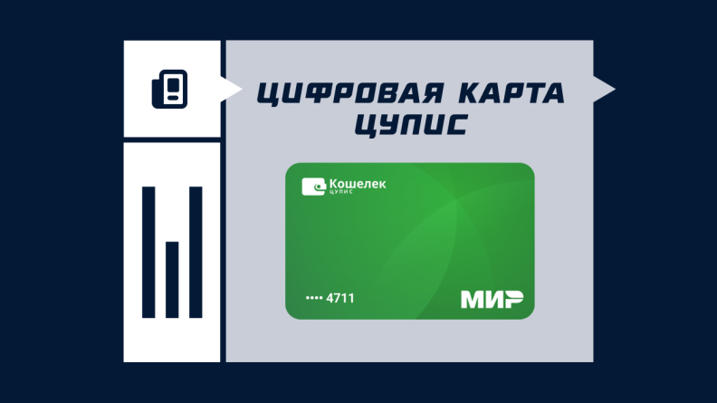 Цифровая карта ЦУПИС