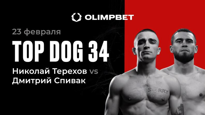 Розыгрыш призов на TOP DOG 34 от Олимпбет