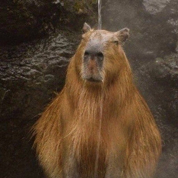 КП