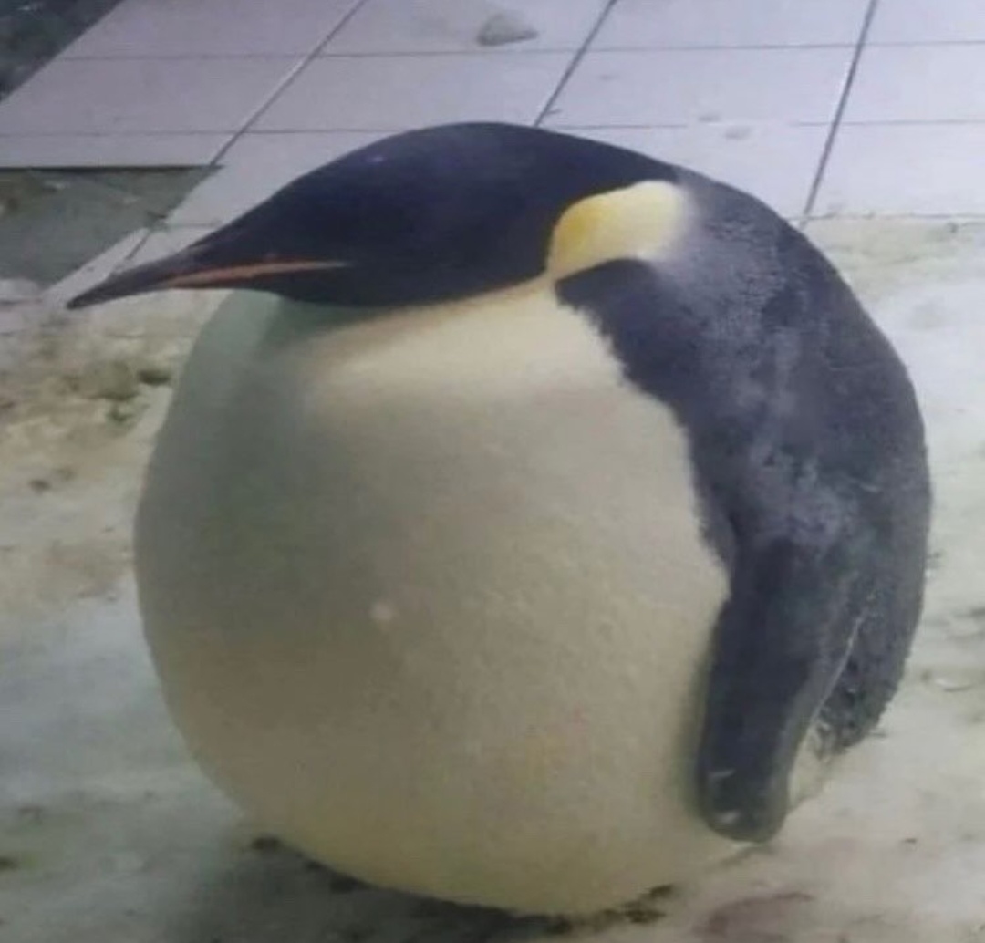 ПП
