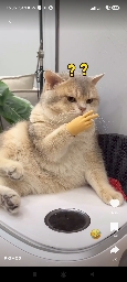 КД