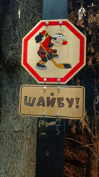 ВС