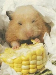 TH