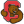Браун Бирс (Ж)