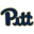 Питтсбург Пантерс (Ж)