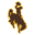 Вайоминг Коугерлз (Ж)