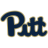 Питтсбург Пантерс (Ж)